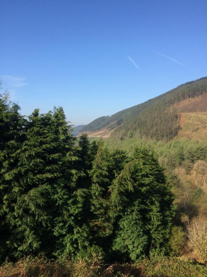 Rowan House Bed Breakfast Main House & Self Contained Self Catering Apartment Cymmer Exteriör bild